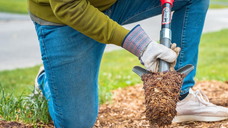 Root Slayer's Mini Digger Garden Shovel in use