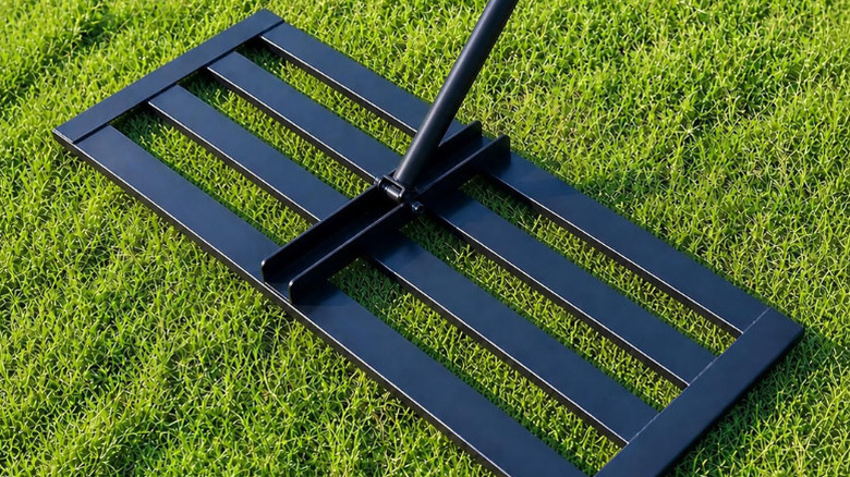 Taorui's 30 x 10-inch Lawn Leveling Rake
