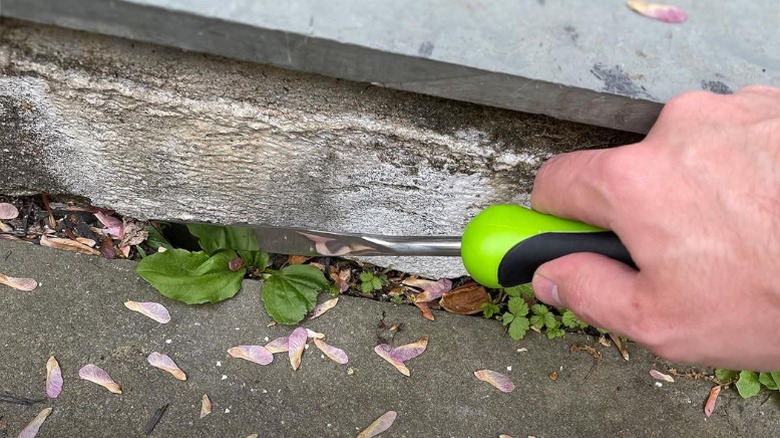 A person using Garden Guru's Patio Crack Weeder in a narrow crack