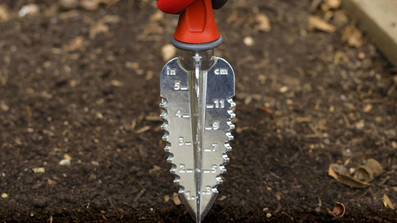 Close-up of the depth-marked blade of Garden Weasel's Multi-Use Transplanter in front of soil bed