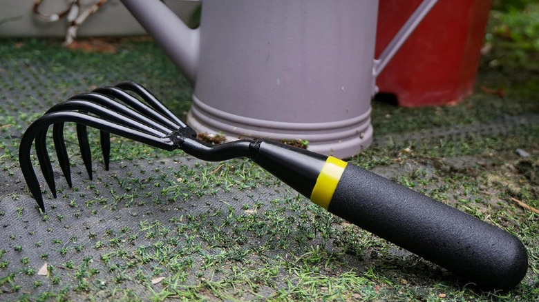 Kemaier's Stainless Steel Hand Cultivator on ground next to watering can