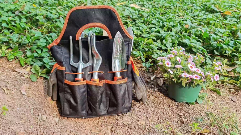 Mecheer's 8-Piece Gardening Tools Set in leather carrier on ground next to greenery