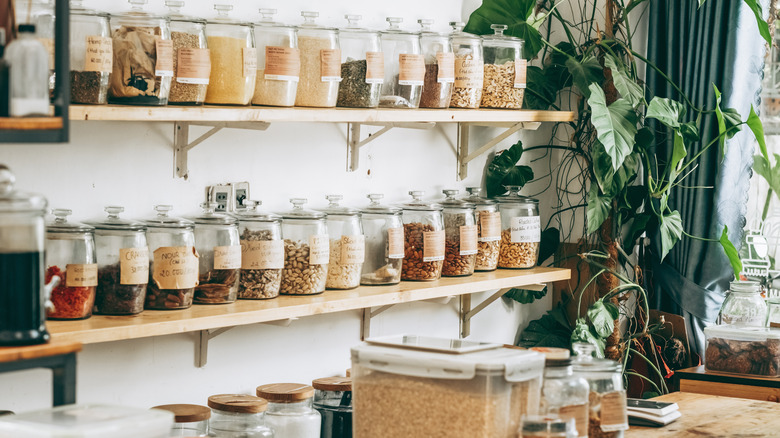 A row of jars filled with bulk food items displayed on wooden shelves in a zero-waste shop
