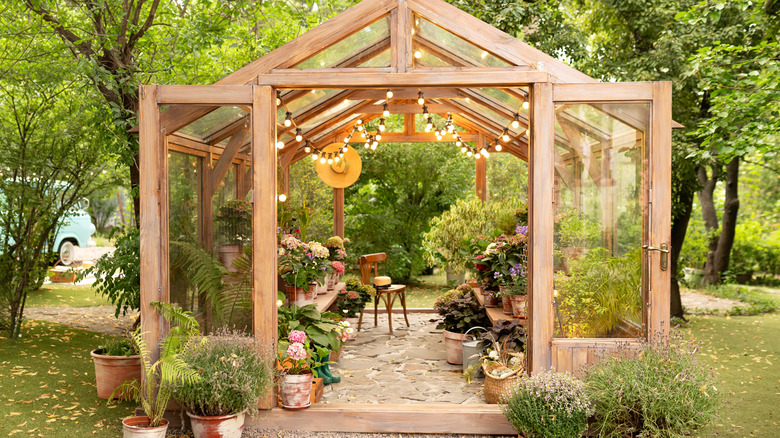 Facade of a wooden illuminated greenhouse with furniture, plants and flowers in pots at backyard.
