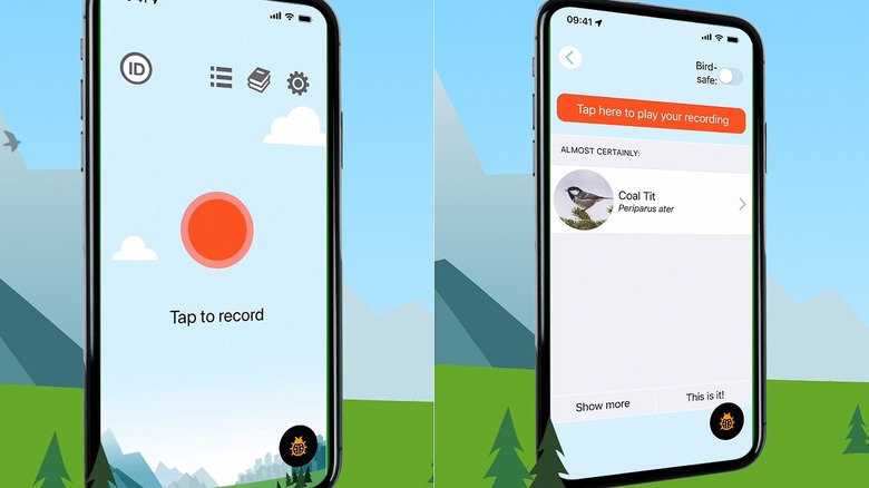 Side by side screen shots of ChirpOmatic app's recording and identification functions