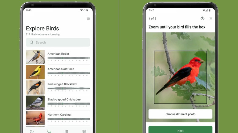 Side by side screen shots of the Merlin app in action