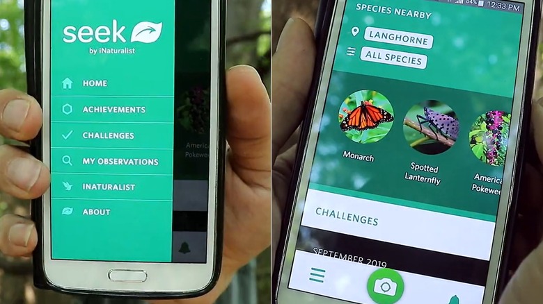 Side by side screen shots of the Seek app's features