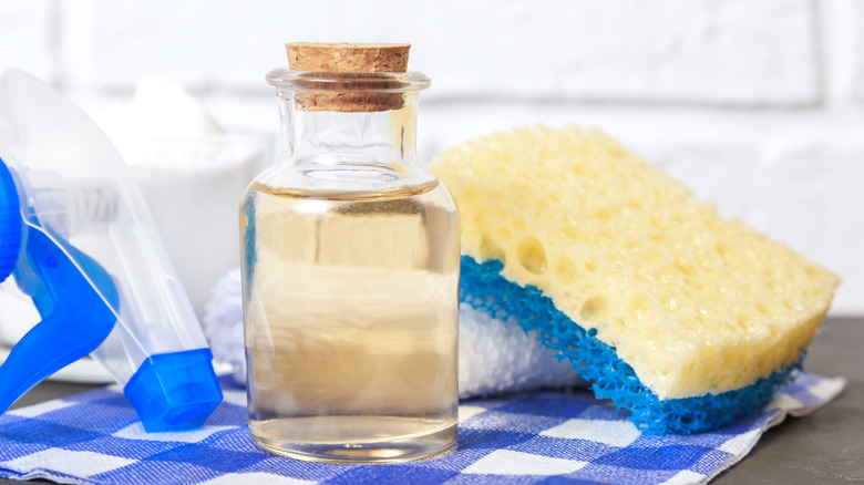 vinegar next to sponge