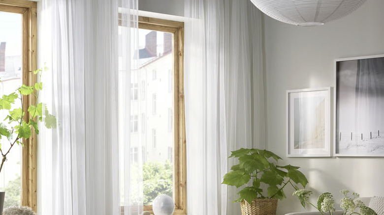 The LILL Sheer curtains from IKEA hanging in a living room window with several plants in front of them