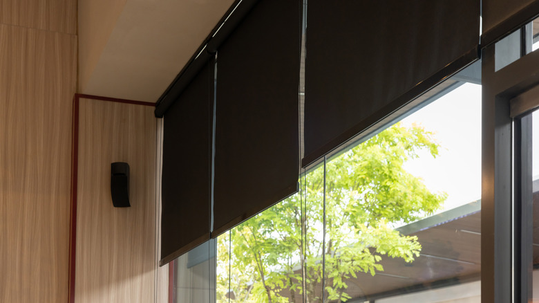 Black shades hanging on a window with a tree outside