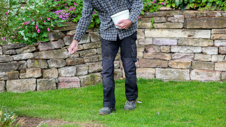 Man fertilizing his lawn in the spring