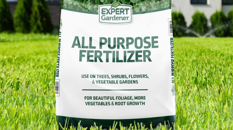 A bag of Expert Gardener All Purpose Fertilizer on a green lawn