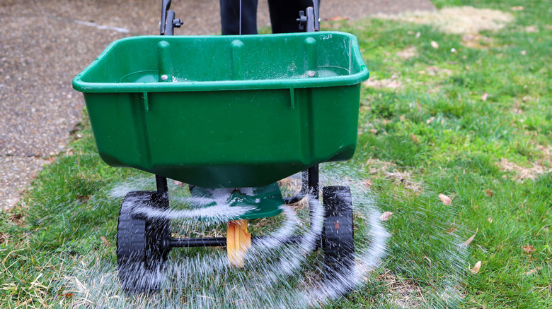 A spreader putting granular fertilizer on a lawn
