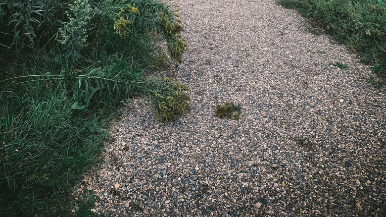 Pea gravel path