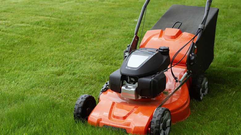 A bright orange lawn mower on a freshly mowed lawn
