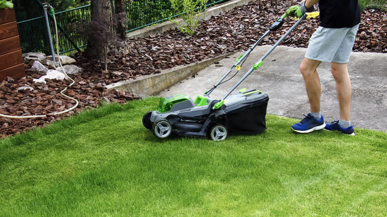A person mowing a lawn with a black and green lawn mower