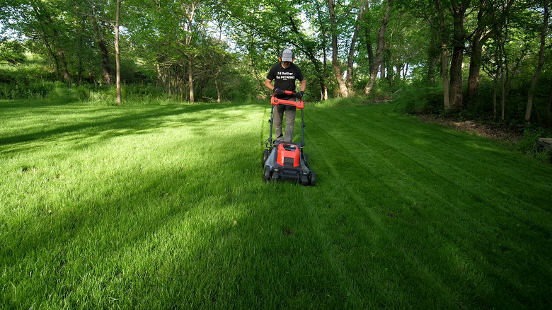 A person mowing a fine fescue lawn