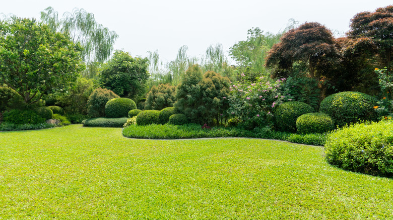 A landscaped garden with a well-kept lawn