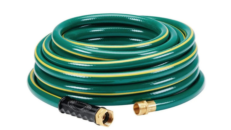 A coiled green garden hose on a white background