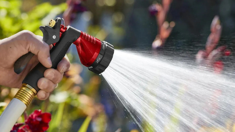 Close-up of a person using Greenwood's Trigger Spray Nozzle