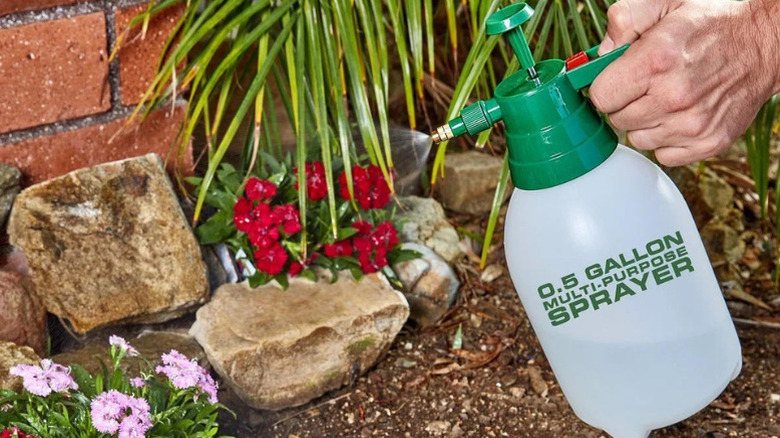 Close-up of a person using Harbor Freight's 0.5 gallon hand sprayer