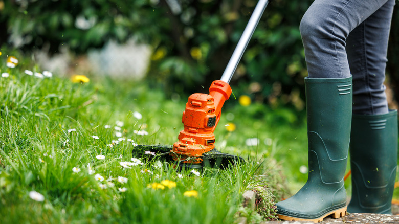 Close-up of a person using a garden trimmer on long grass and weeds