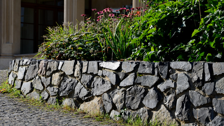 A retaining wall made from basalt and cement surrounds greenery