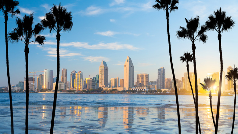 san diego skyline with palm trees