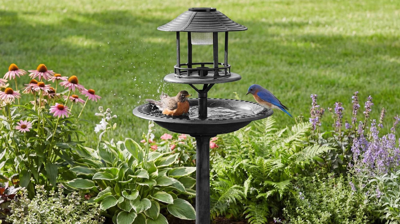 Best Choice's Solar Black Pedestal Fountain Birdbath in a garden with birds bathing in it