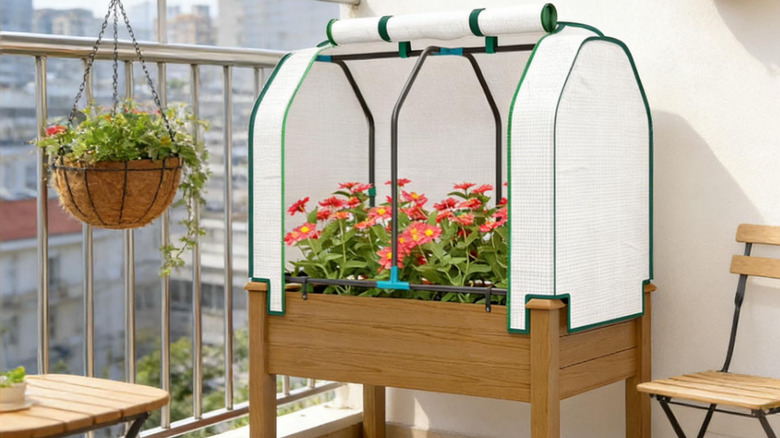 Lovmor's Raised Garden Bed with Cover on a balcony