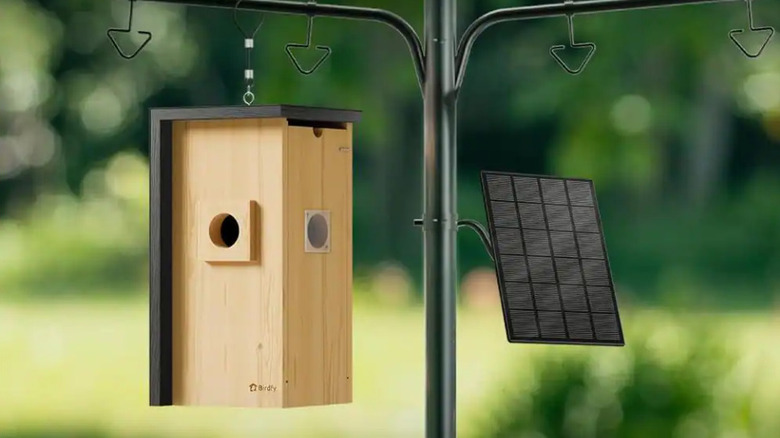 Misopily's Smart Solar Bird House with Camera