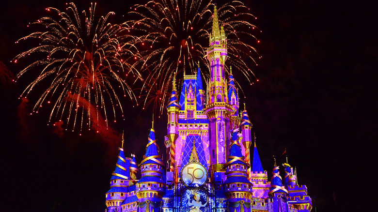 Disneyworld castle and fireworks 