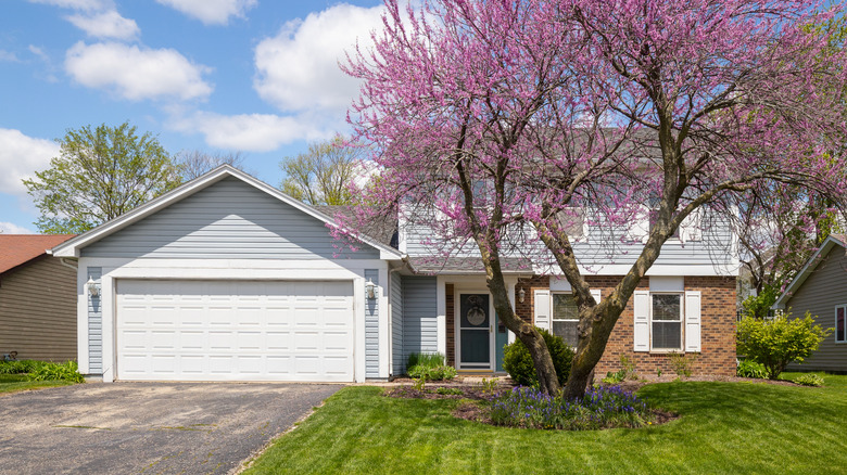 A home with a well-manicured lawn and thriving Eastern redbud tree