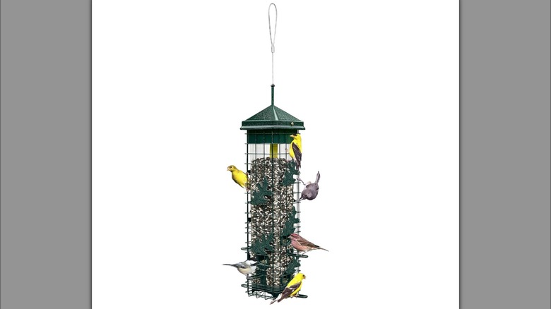 Brome Squirrel Solution 200 Squirrel-Proof Bird Feeder