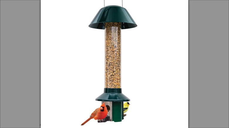 Roamwild PestOff Squirrel Proof Wild Bird Feeder