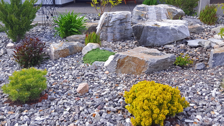 Front yard with decorative rock and drought-tolerant plants