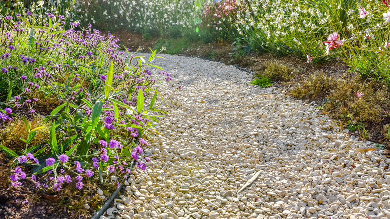 A gravel path cutting through flower beds
