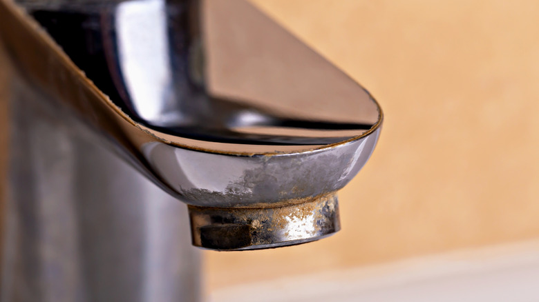 Close up of kitchen sink faucet head with brown, cloudy buildup