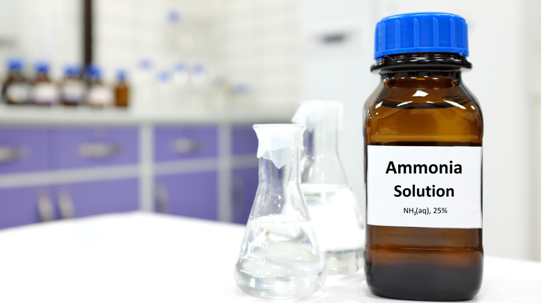 Bottle of ammonia