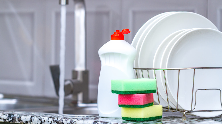 Dish soap and sponges
