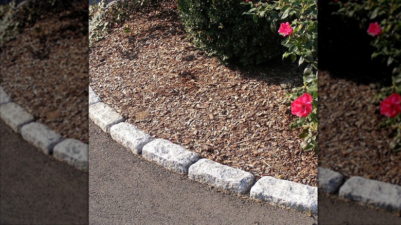 A garden bed edged with granite, separating it from a paved pathway