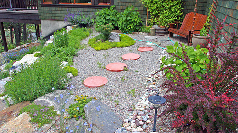 decomposed granite xeriscape