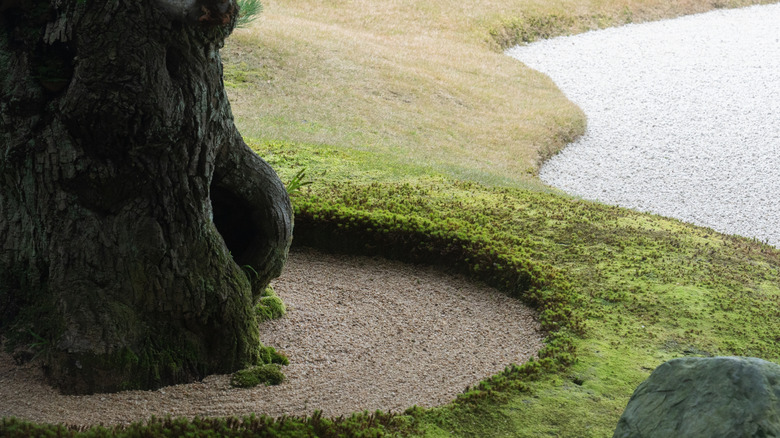 Zen garden in yard