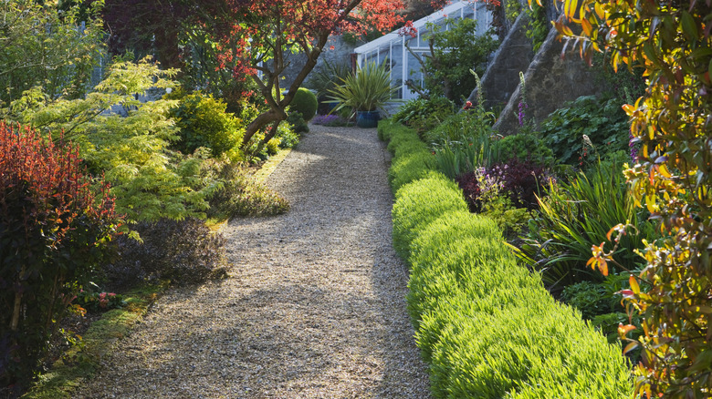 crusher fines path through a garden with colorful plants.