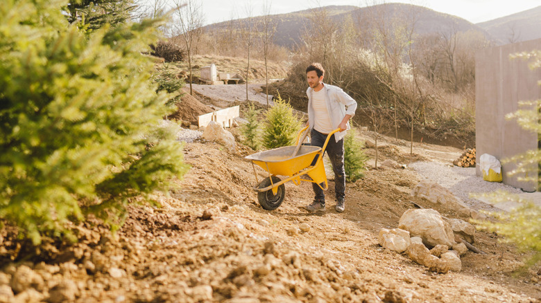 Man pushing wheelbarrow through rocky soil in hilly back yard