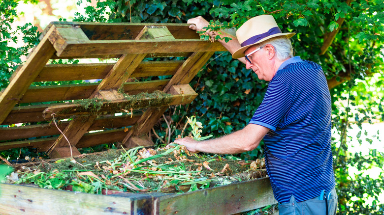 A man examines the large compost pile in a wooden bin in his backyard.