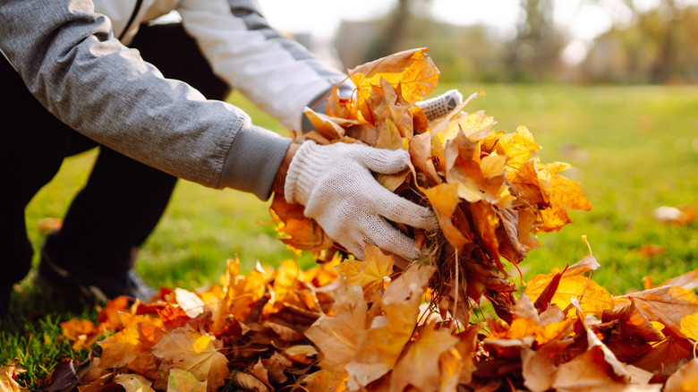 A person with gloves picking up a handful of leaves out of a pile