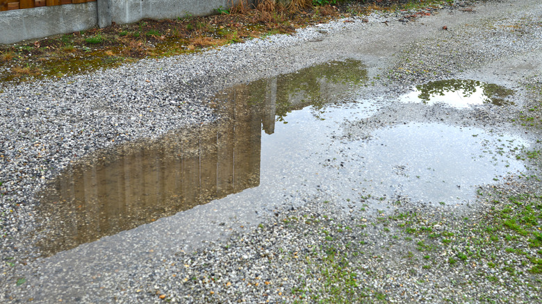 Standing water on driveway