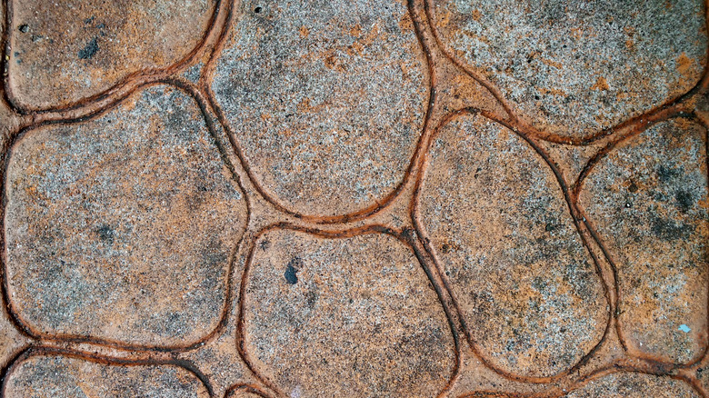Stamped concrete driveway