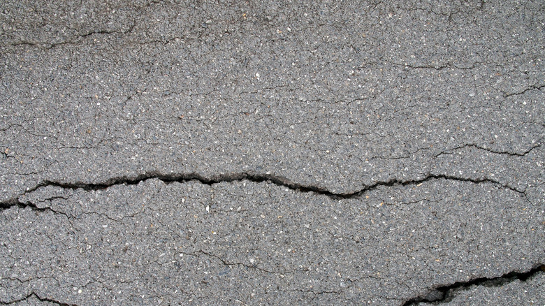 Cracked asphalt driveway